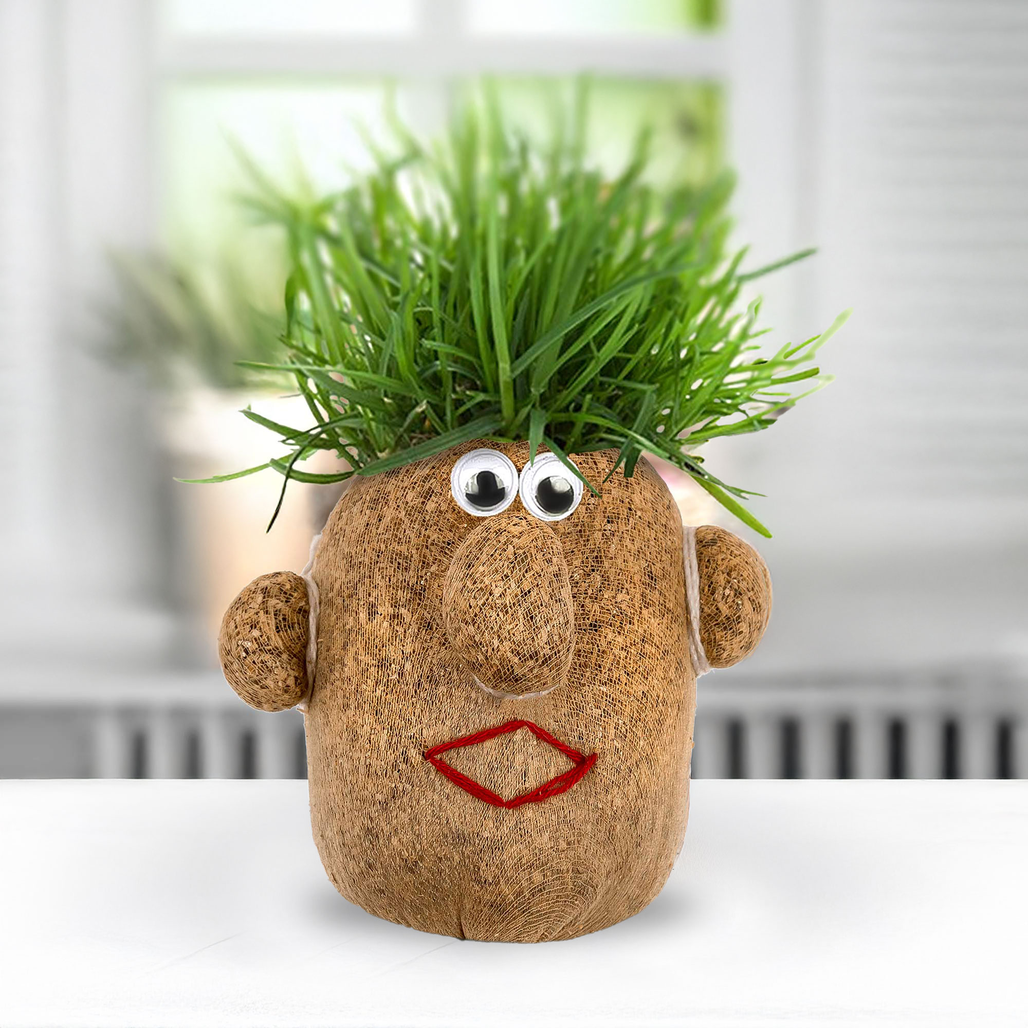 Lustiger Graskopf Mann